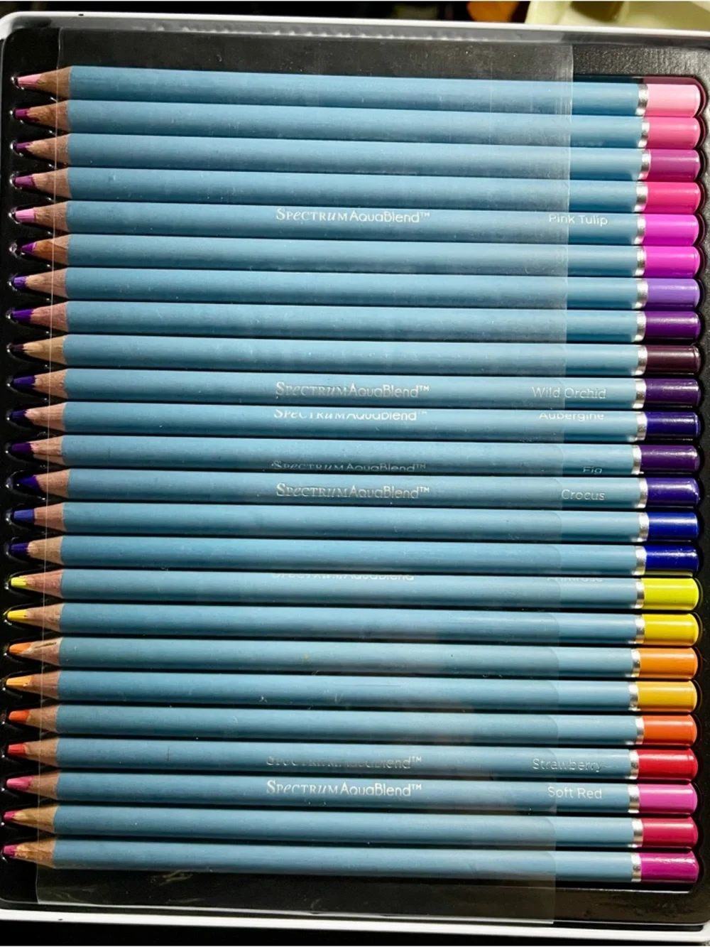 NEW AND SEALED AquaBlend by Spectrum Noir 24pc Watercolour Pencil Set - FLORALS